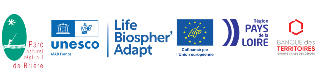 Logos du Parc naturel régional de Brière et des financeurs du programme Life Biosphèr'Adapt : l'Union européenne, l'association MAB France, la Région Pays de la Loire et la Banque des territoires.